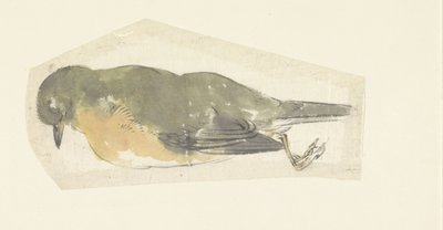 Petirrojo muerto de Yamamoto Shinryo Baiitsu