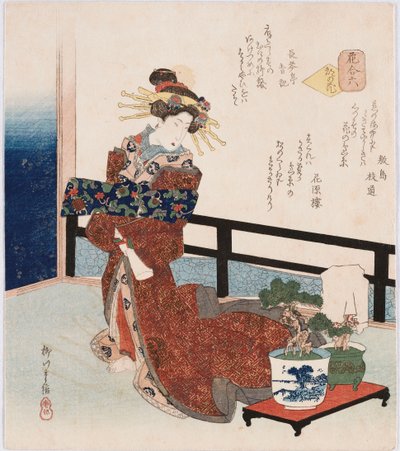 Miyako no hana "Flor de la capital", un término usado para referirse a actores famosos, cortesanas o celebridades, ilustrando a una cortesana junto a un pino en maceta, con poemas de Shikishima Edamichi, Kagenro y Chokintei Seiki de Yanagawa II Shigenobu