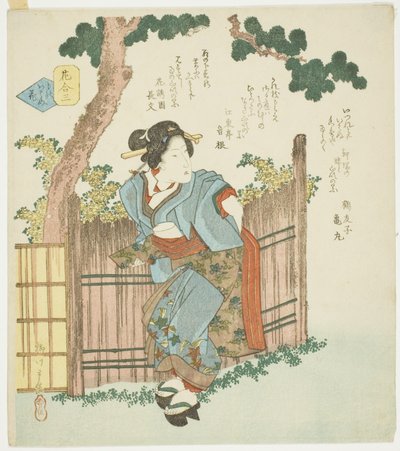 N.º 3: Flor silenciosa, de la serie "Una comparación de flores" de Yanagawa Shigenobu II