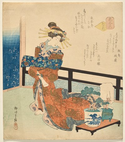 Número Seis: Flores de la Capital, de la serie Flores de Yanagawa Shigenobu II