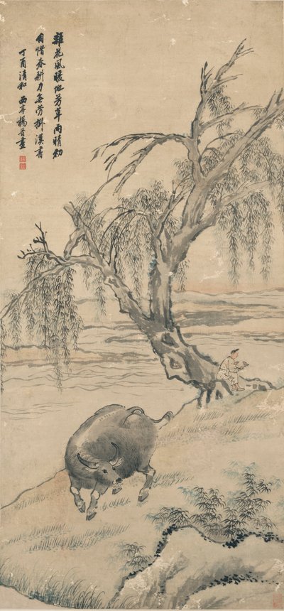 Búfalo en Willow Bank de Yang Jin