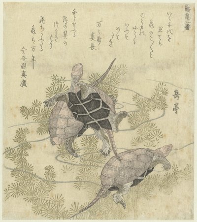 Tres tortugas entre plantas acuáticas Una serie de dos grabados de grullas y tortugas (título de la serie) Tsurukame niban (título de la serie sobre el objeto) de Yashima Gakutei