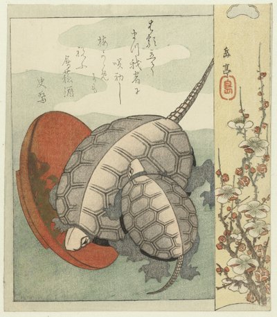 Tortugas con cuenco de sake de Yashima Gakutei