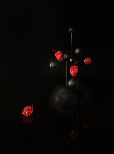  de Yi Pan