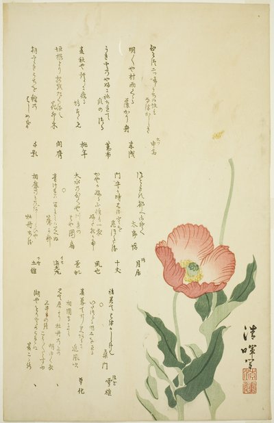 Dos amapolas de Yokoyama Seiki