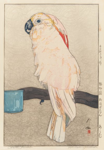 Obatan Sittich de Yoshida Hiroshi