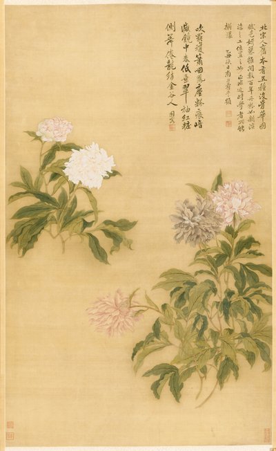 Peonies de Shouping Yun