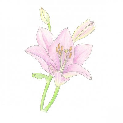  de Yvonne Gustafsson