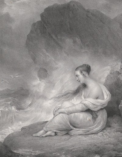 Desesperación de Zephirin Felix Jean Marius Belliard