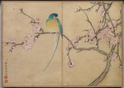 Álbum de escritorio: Pinturas de flores y pájaros (Pájaro con flores de ciruelo) de Zhang Ruoai