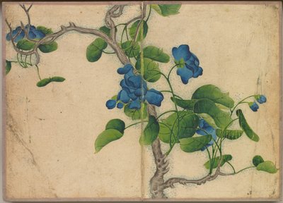 Desk Album: Flower and Bird Paintings (Climbing Blue Flowers) de Zhang Ruoai