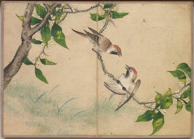 Desk Album: Flower and Bird Paintings (Gossiping Sparrows) de Zhang Ruoai