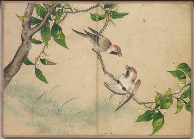 Álbum de escritorio: Pinturas de flores y aves Gorriones chismosos, siglo XVIII de Zhang Ruoai