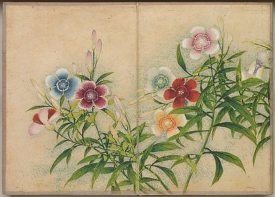 Álbum de escritorio: Pinturas de flores y pájaros, claveles, siglo XVIII de Zhang Ruoai