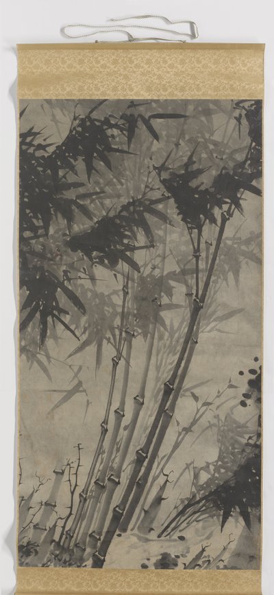 Bambú de Zhengxing (bijnaam Wuzhai)