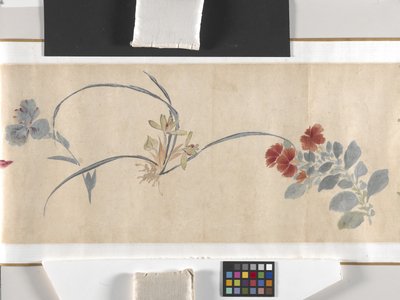 Flores de colores de Zhimian Zhou