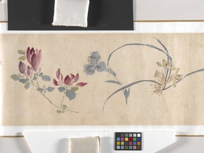 Flores de colores de Zhimian Zhou