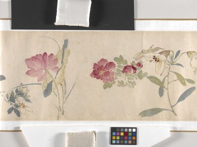 Flores de colores de Zhimian Zhou