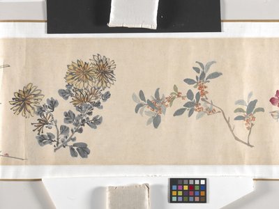 Flores de colores de Zhimian Zhou