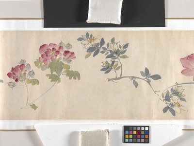 Flores de colores de Zhimian Zhou