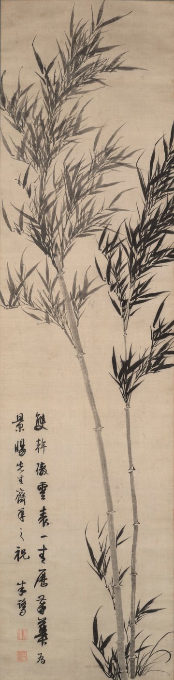 Bambú de Zhu Lu
