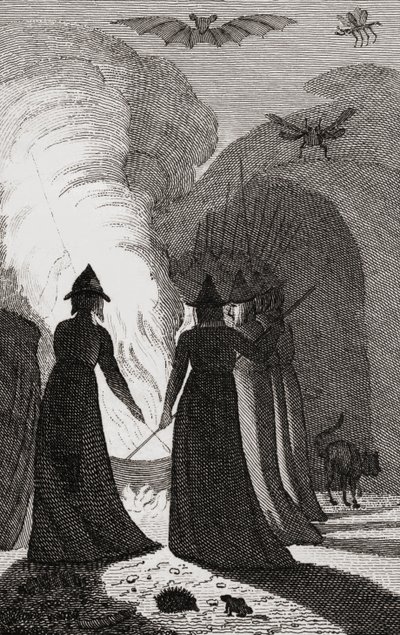 Un aquelarre de brujas alrededor de un caldero de . .