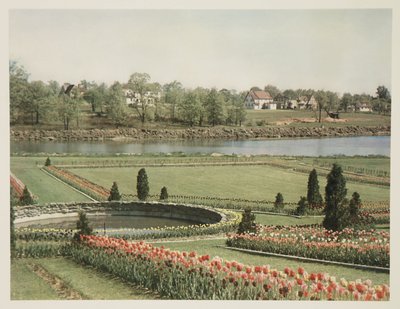 Escena suburbana americana, c. 1928 de John Pardon