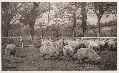 Un pastoral de otoño de Frederick (attr. to) Barnard
