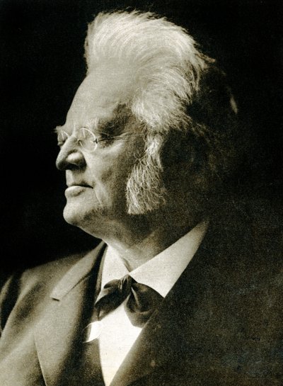 Bjornstjerne Bjornson (fotograbado) de Hippolyte Lalaise Devéria