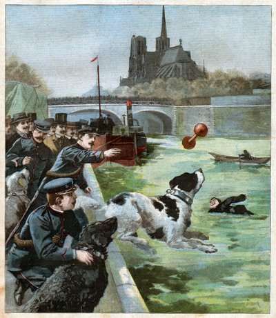 Perro de rescate de John Pardon