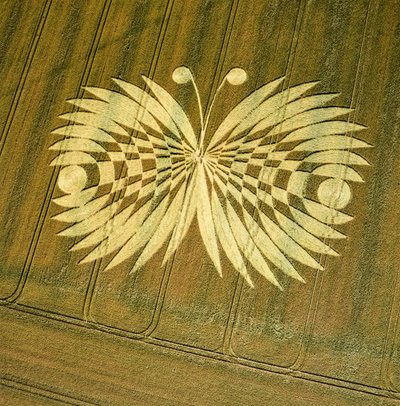 Círculo de cultivo en campo de trigo, Hailey Wood, Ashbury, Oxfordshire de Ferdinand Georg Waldmuller