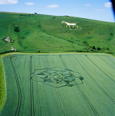 Círculo de cultivo en campo de trigo, Milk Hill, Alton Priors, Valle de Pewsey, Wiltshire de Ferdinand Georg Waldmuller