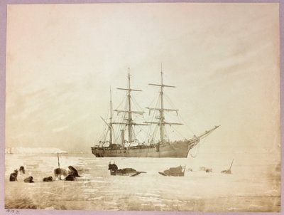 Expedición en el Ártico (1875-1876) del capitán George Nares (1831-1915) de Frederick (attr. to) Barnard