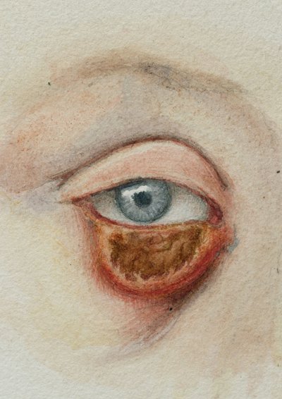 Ojos de Frederick (attr. to) Barnard