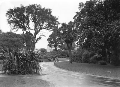 Jardines en Penzance, Cornualles de John Pardon