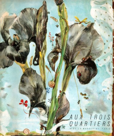 Iris (flor). c.1920 (Grabado) de . .