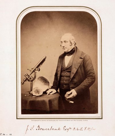 James Scott Bowerbank, geólogo británico de Ferdinand Georg Waldmuller