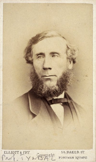 John Tyndall, físico irlandés, c. 1875 de Frederick (attr. to) Barnard