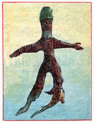 Mandrágora de . .