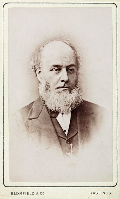 Sr. Hackett, secretario de la General Steam Navigation Company de Frederick (attr. to) Barnard