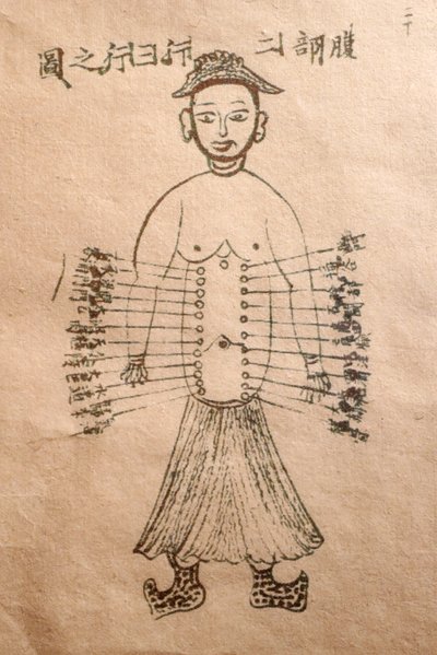 Museo de Medicina Tradicional Vietnamita, Los canales y vasos, Libro de acupuntura, Ciudad Ho Chi Minh, Vietnam de John Pardon