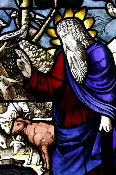 Museo de la Catedral de Milán. Vidriera. Creación de los animales (Dios Padre). Siglo XVI. Italia. de . .