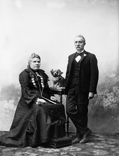Retrato del Sr. y la Sra. Guerrini de Henry Charles Fehr