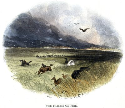Pradera en llamas de Frederick (attr. to) Barnard