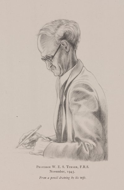 Profesor W E S Turner, noviembre de Frederick (attr. to) Barnard