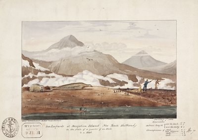 Leopardos marinos en la Isla Decepción, Nuevas Shetland del Sur, 7 de enero de John Pardon