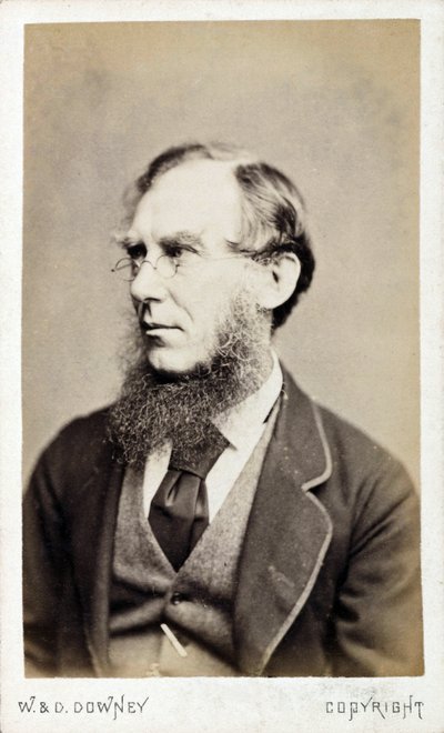 Sir Joseph Dalton Hooker, botánico británico, finales del siglo XIX de Ferdinand Georg Waldmuller