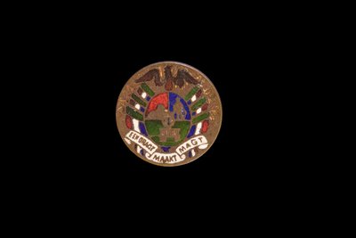 Moneda sudafricana, chelín coloreado a mano por prisioneros de guerra anglo-bóer de Hippolyte Lalaise Devéria