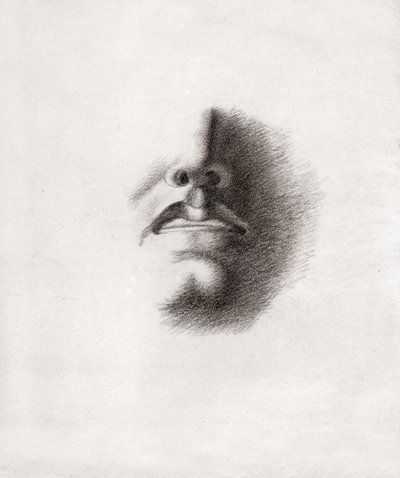 Estudio para la cara de un hombre: boca y nariz. circa 1830 de . .