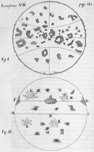 Manchas solares de Frederick (attr. to) Barnard